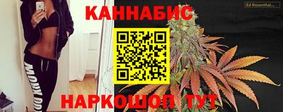 крисы Кандалакша